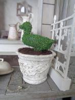 Buxus eend in pot...Poppenhuis 1:12...(NrF21)*, Ophalen of Verzenden, Nieuw, Poppenhuis