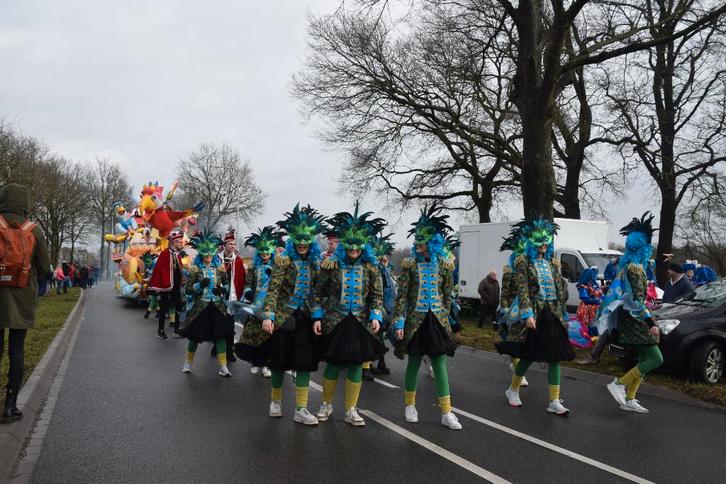 Loopgroep Carnavalskleding Thema 'Pauw/Vogels', Kleding | Dames, Carnavalskleding en Feestkleding, Zo goed als nieuw, Kleding