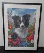 diamond painting Bordercolly 40x60cm in (lijst 53x73cm), Ophalen