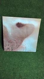 PINK FLOYD, Cd's en Dvd's, Vinyl | Rock, Ophalen of Verzenden, Gebruikt, 12 inch, Progressive