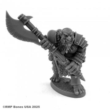 Reaper Miniatures Ogre Bodyguard 07208 Wargames beschikbaar voor biedingen