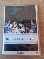 Our Little Sister - Drama DVD, Alle leeftijden, Ophalen of Verzenden, Zo goed als nieuw, Drama