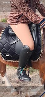 Pony zadel 16 inch dressuur wintec, Ophalen of Verzenden, Dressuur