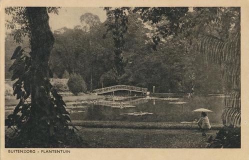 Ned Indië - Buitenzorg - Plantentuin [KRST005-7282, Verzamelen, Ansichtkaarten | Buitenland, Ongelopen, Buiten Europa, 1960 tot 1980