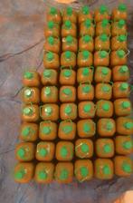 Olijfolie 100% puur, Ophalen