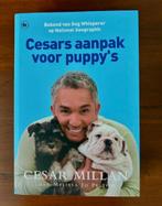 Cesar Millan  -  Cesars aanpak voor puppy’s, Boeken, Dieren en Huisdieren, Nieuw, Honden, Cesar Millan, Ophalen of Verzenden