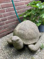 Unieke betonnen schildpad, prachtig verweerd groen patina, Ophalen, Beton, Dierenbeeld