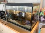 Aquarium, Dieren en Toebehoren, Vissen | Aquaria en Toebehoren, Ophalen, Zo goed als nieuw, Gevuld zoetwateraquarium
