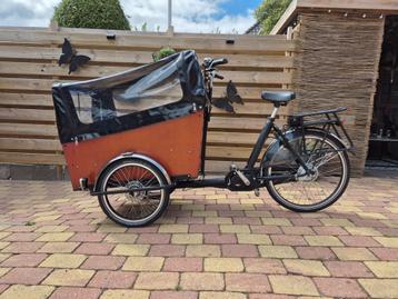 Electriche bakfiets van Bakfiets-nl type Cargo Trike Wide beschikbaar voor biedingen