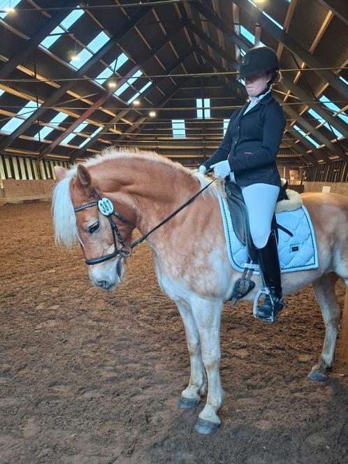 Verzorgpaard aangeboden, Dieren en Toebehoren, Paarden en Pony's | Verzorgingsproducten, Zo goed als nieuw, Ophalen