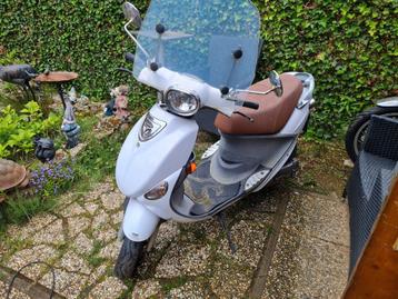 Beeline papillon scooter onderdelen  beschikbaar voor biedingen