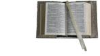 bijbelhoes, Nieuw, Christendom | Protestants, GOD, Ophalen of Verzenden