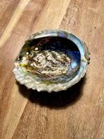 Abalone smudge schelp, Ophalen of Verzenden, Gebruikt