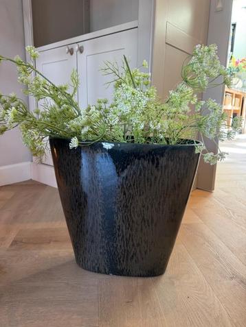 Vaas  beschikbaar voor biedingen