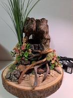 Boomstronk Kamerfontein, Ophalen of Verzenden, Nieuw