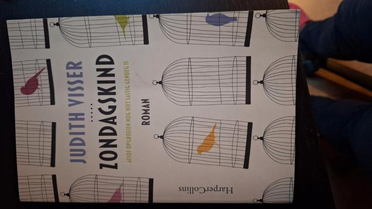 Judith Visser - Zondagskind, Boeken, Literatuur, Zo goed als nieuw, Ophalen of Verzenden