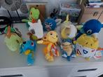 Pokémon pluche/knuffels, Ophalen of Verzenden, Zo goed als nieuw, Losse kaart