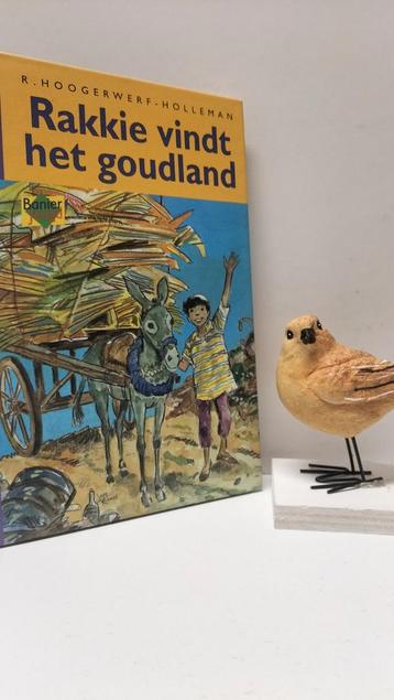 Hoogerwerf-Holleman, R.;  Rakkie vindt het goudland beschikbaar voor biedingen