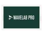 Steinberg wavelab pro, Computers en Software, Ophalen of Verzenden