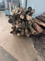 2,5 kuub halfdroog essen stamhout voor 220 euro, Minder dan 3 m³, Ophalen, Stammen