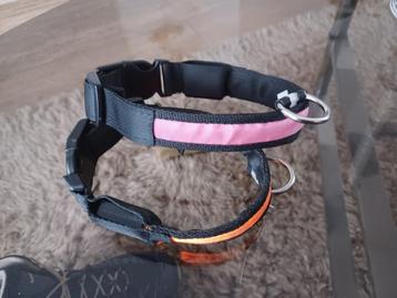 2x lichtgevende halsband maat s + flexilijn beschikbaar voor biedingen