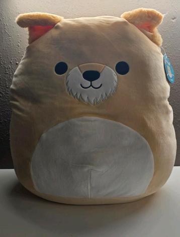 Squishmallows - Cooper - 50 cm - mega knuffel beschikbaar voor biedingen
