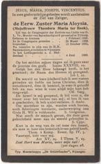 zr. Theodora ter Beek 1868 Arnhem + 1908 Nijmegen, 40 jaar, Verzenden