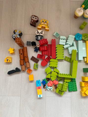 Grote partij Lego Duplo stenen beschikbaar voor biedingen