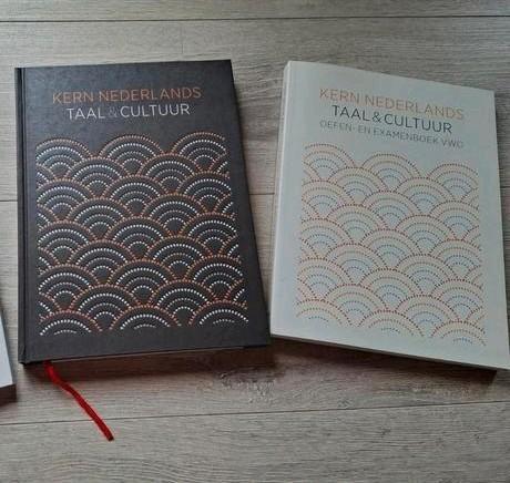 Kern nederlands taal & cultuur, Boeken, Schoolboeken, Zo goed als nieuw, Nederlands, VWO, Ophalen of Verzenden