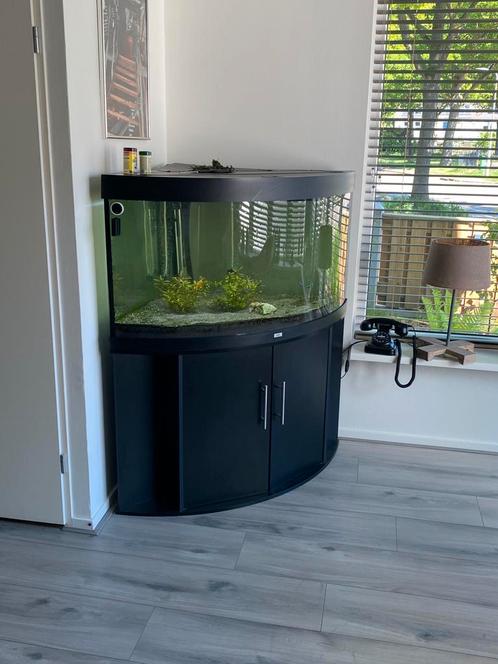 Juwel Trigon 350, Dieren en Toebehoren, Vissen | Aquaria en Toebehoren, Zo goed als nieuw, Leeg aquarium, Ophalen
