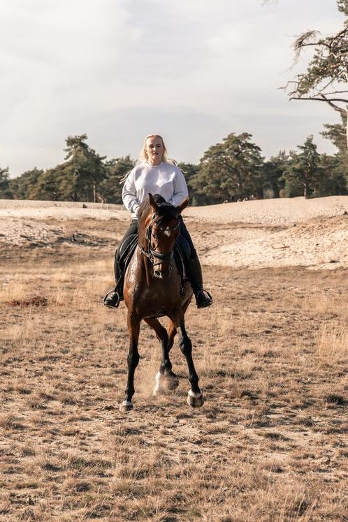 Verzorgpaard/bijrijdpaard aangeboden, Diensten en Vakmensen, Dieren | Paarden | Verzorging, Oppas en Les, Verzorging of Verzorgpony's