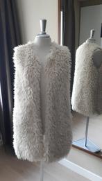 Zacht warm teddyvest voor (over) je outfit, Ophalen, Zo goed als nieuw, Carnaval