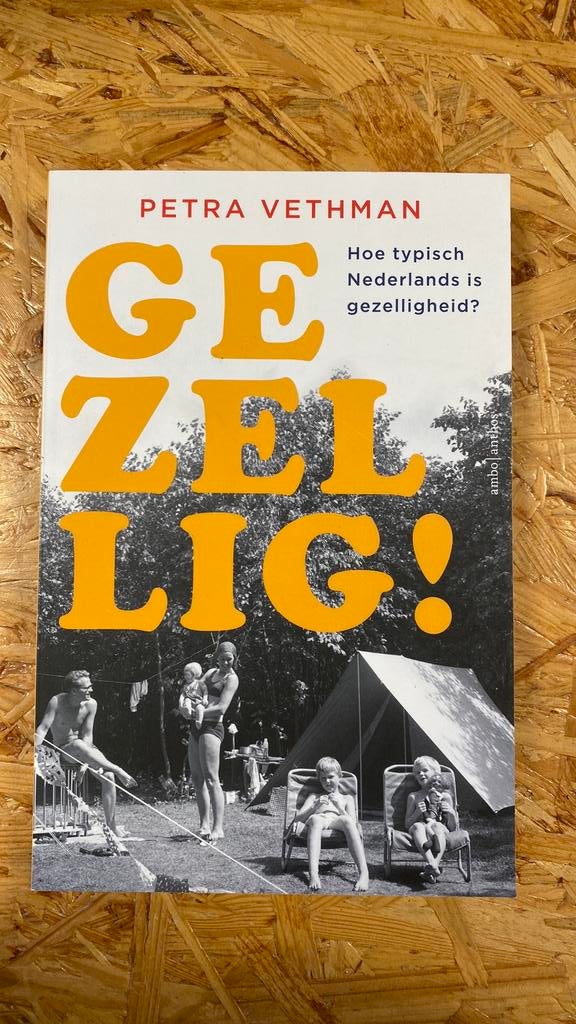 Petra Vethman - Gezellig!, Petra Vethman, Ophalen of Verzenden, Zo goed als nieuw, Nederland