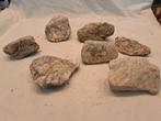 7 oude stenen met fossielen, Verzamelen, Mineralen en Fossielen, Ophalen of Verzenden, Fossiel