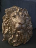 Schitterende leeuwenkop, Ophalen of Verzenden