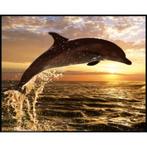 Dolphin Sunset poster bij Stichting Superwens!, Verzamelen, Posters, Nieuw, Dier of Natuur, Rechthoekig Liggend, Ophalen of Verzenden