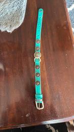 Dwam honden halsband xs, Dieren en Toebehoren, Ophalen of Verzenden, Zo goed als nieuw