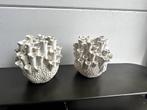 Light & Living tulpenvaas wit met kelkjes, Huis en Inrichting, Woonaccessoires | Vazen, Ophalen, Nieuw, Wit, Minder dan 50 cm