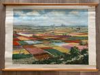 Bloembollenvelden bij Haarlem, Ophalen of Verzenden, Aardrijkskunde