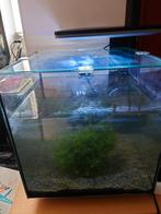 Superfish qubic 30 pro incl licht, filter, nieuwe cartridge, Dieren en Toebehoren, Vissen | Aquaria en Toebehoren, Ophalen, Gebruikt