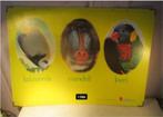 Prachtige Schoolplaat - Keizersvis / Mandril / Loeri, Ophalen of Verzenden, Natuur en Biologie