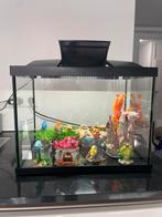 Superfish aquarium met veel toebehoren, Ophalen, Zo goed als nieuw, Verlichting of Verwarming