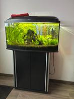 Zeer mooie, incl. alle toebehoren aquarium, Ophalen, Gebruikt, Gevuld zoetwateraquarium