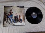 The Sinceros -  pet rock, Verzenden, 12 inch