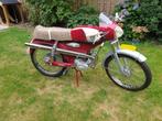Magneet Cheetah ZEER ZELDZAME NL Sport brommer oldtimer, Ophalen, Nieuw