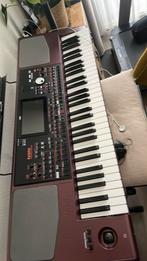 Korg pa 1000, Muziek en Instrumenten, Keyboards, Ophalen, Zo goed als nieuw, 61 toetsen, Korg