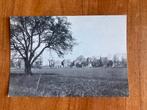 Boven-Hardinxveld. De Buurt. 1917. Repro., Ophalen of Verzenden, 1960 tot 1980, Ongelopen, Zuid-Holland