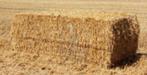 Stro grote balen 240x90x120, Dieren en Toebehoren, Dierenvoeding, Ophalen of Verzenden, Vee