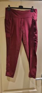 Ariat rijlegging full grip, Dieren en Toebehoren, Paardrijkleding, Dressuur, Zo goed als nieuw, Dames, Onderkleding