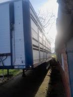 Vee Oplegger / Vee Trailer te Koop - Landbouw Kenteken, Ophalen of Verzenden, Gebruikt